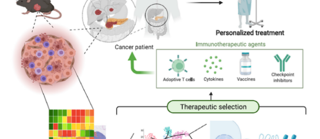single b cell screening