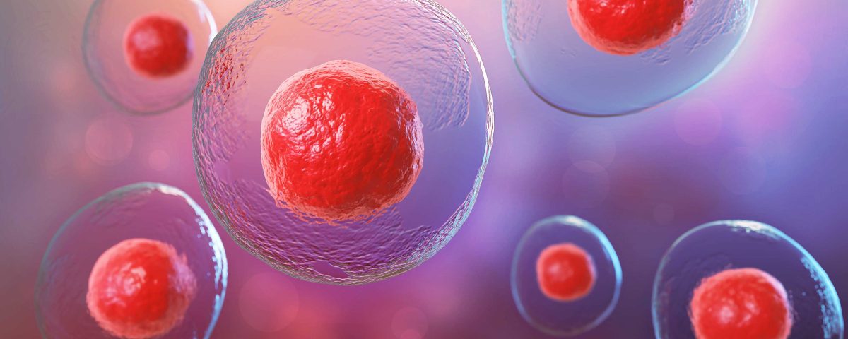 T Cell Immortalization