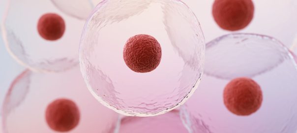 Macrophage Immortalization