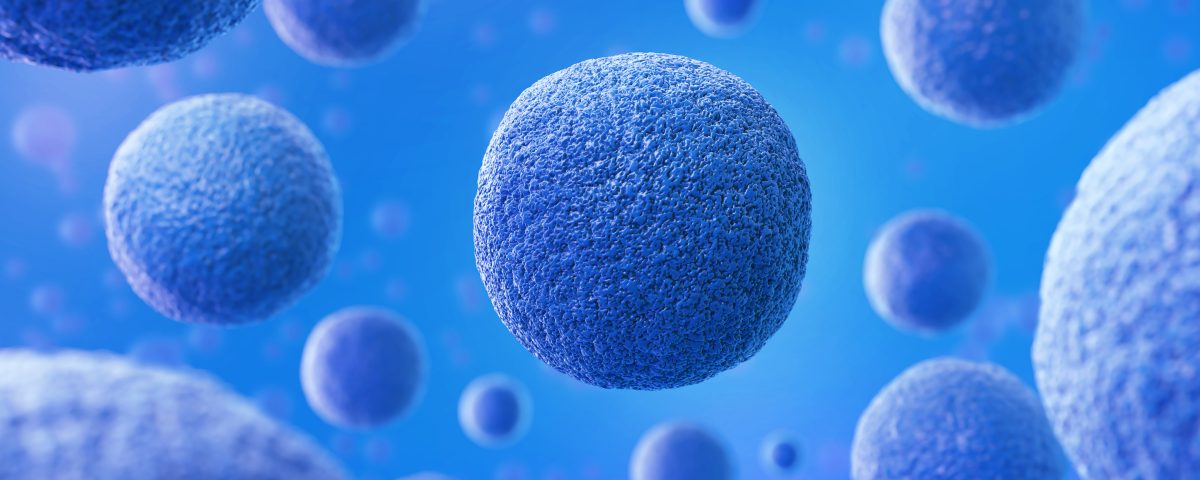 b cell immortalization