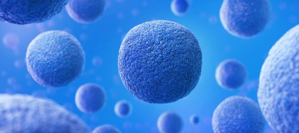 b cell immortalization