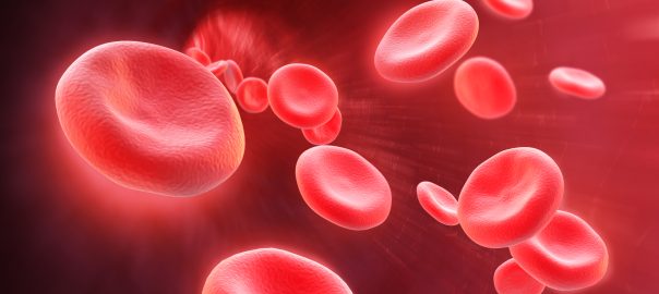 cell immortalization